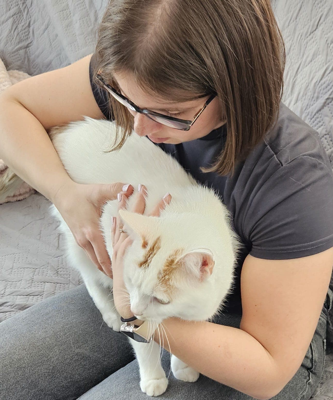 Chat pris en charge en ostéopathie féline à domicile en Alsace