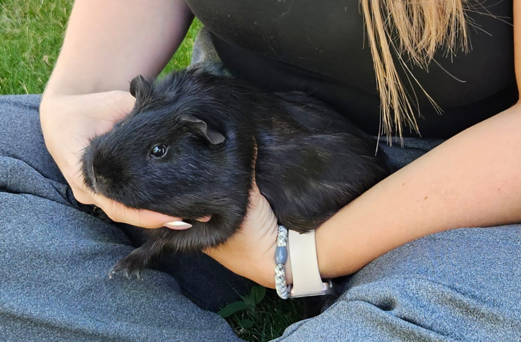 NAC (lapin, rongeur, oiseau, reptile) suivi en ostéopathie à Colmar